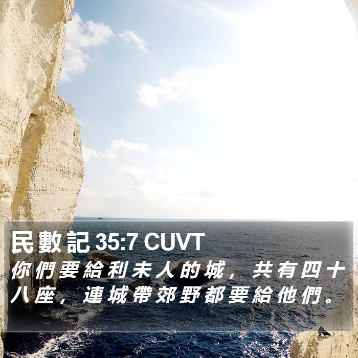 民 數 記 35:7 CUVT Bible Study