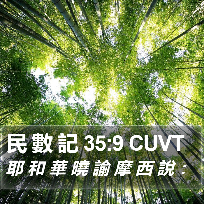 民 數 記 35:9 CUVT Bible Study