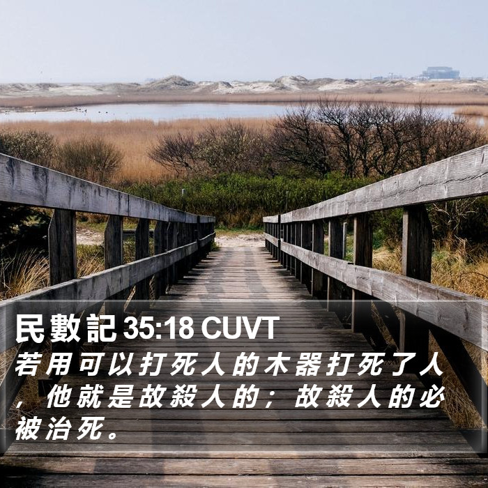 民 數 記 35:18 CUVT Bible Study