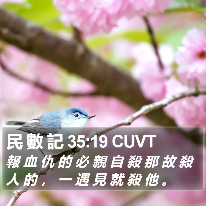 民 數 記 35:19 CUVT Bible Study