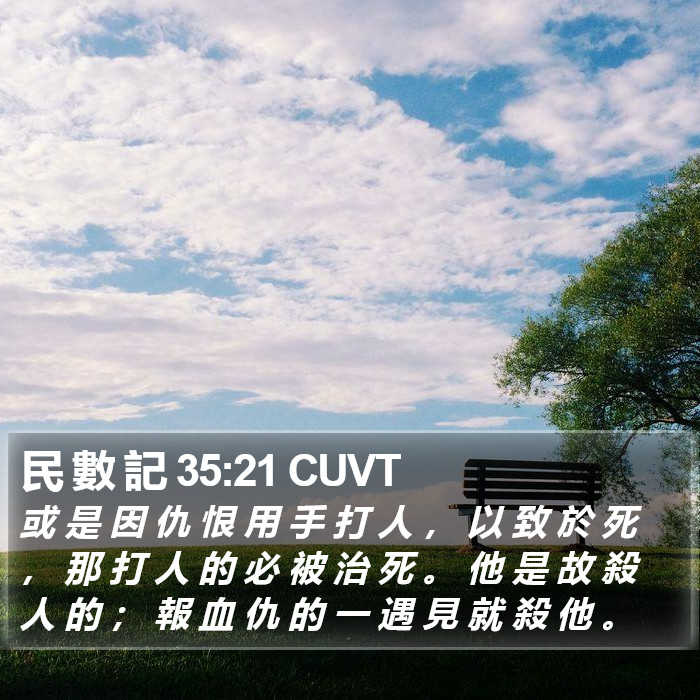 民 數 記 35:21 CUVT Bible Study