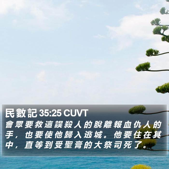民 數 記 35:25 CUVT Bible Study
