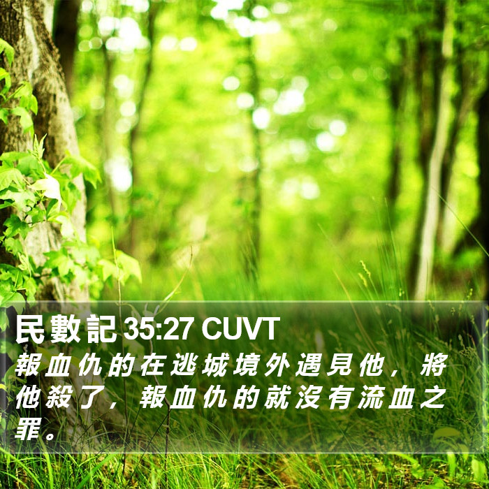 民 數 記 35:27 CUVT Bible Study