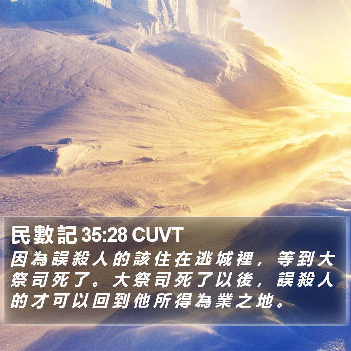 民 數 記 35:28 CUVT Bible Study