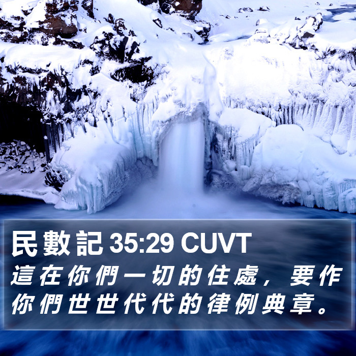 民 數 記 35:29 CUVT Bible Study