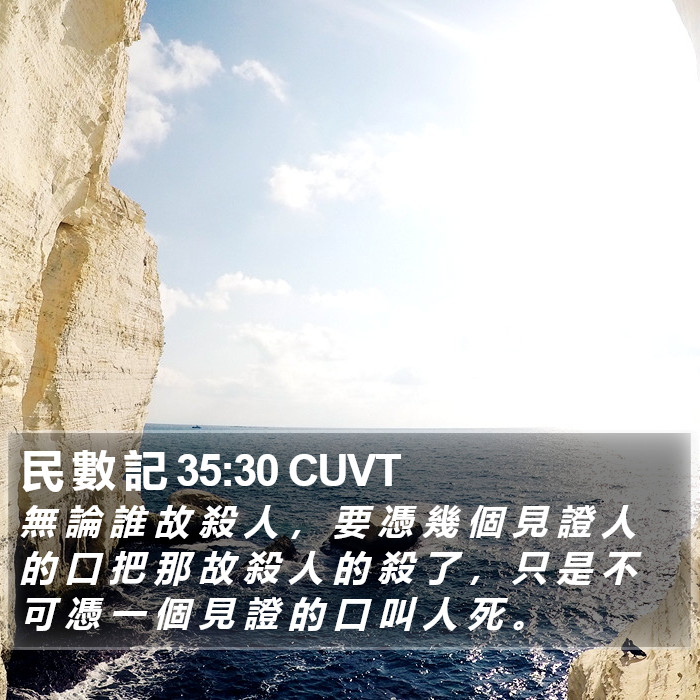 民 數 記 35:30 CUVT Bible Study