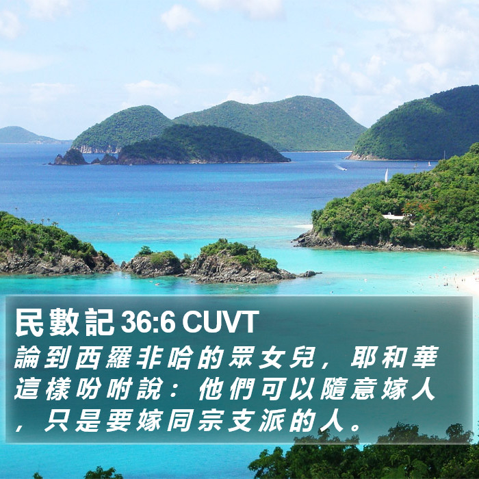 民 數 記 36:6 CUVT Bible Study