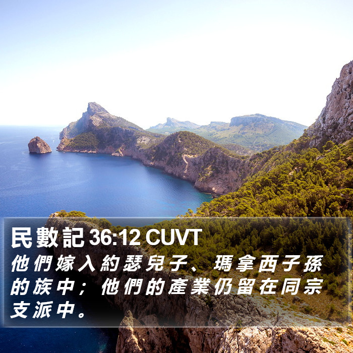 民 數 記 36:12 CUVT Bible Study