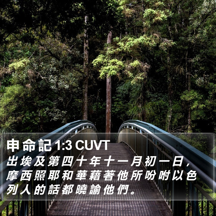 申 命 記 1:3 CUVT Bible Study