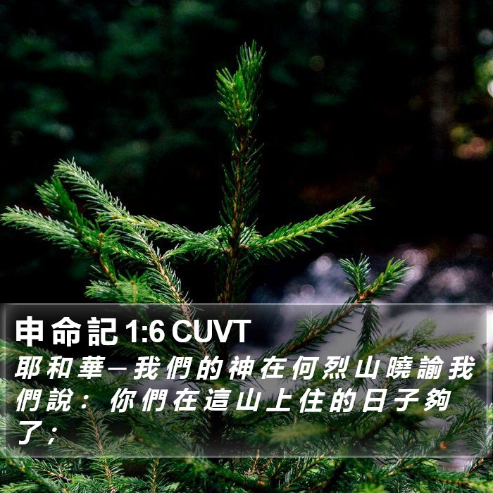 申 命 記 1:6 CUVT Bible Study