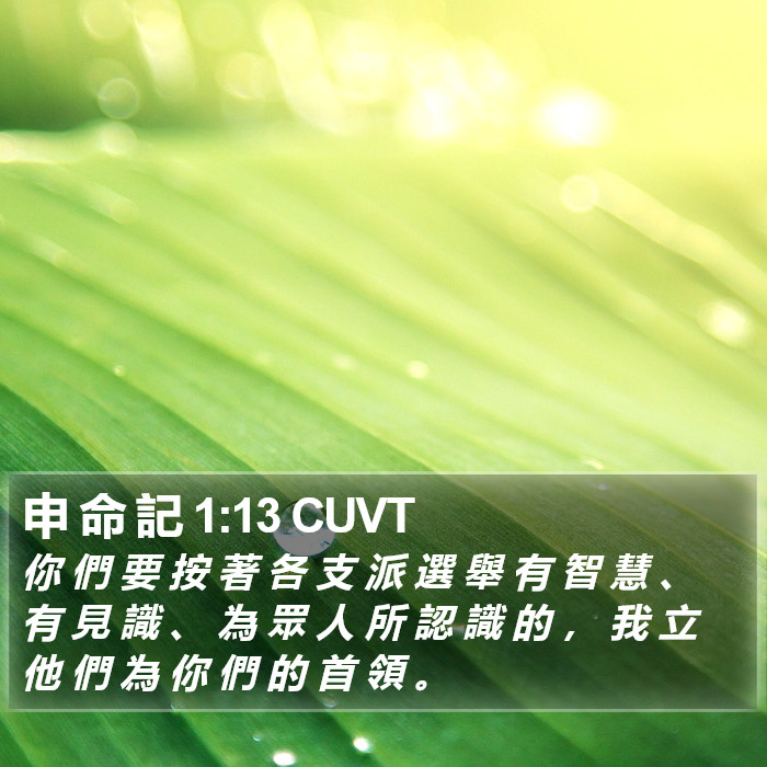 申 命 記 1:13 CUVT Bible Study