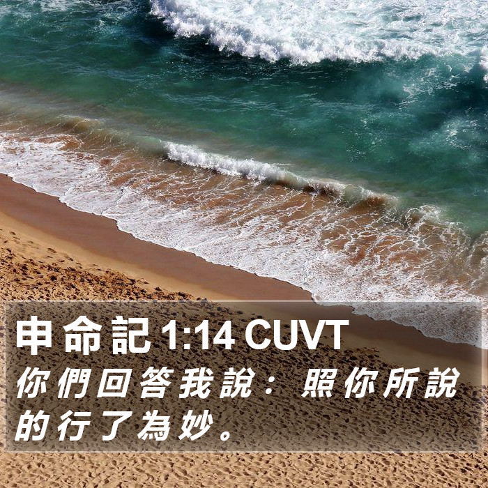 申 命 記 1:14 CUVT Bible Study