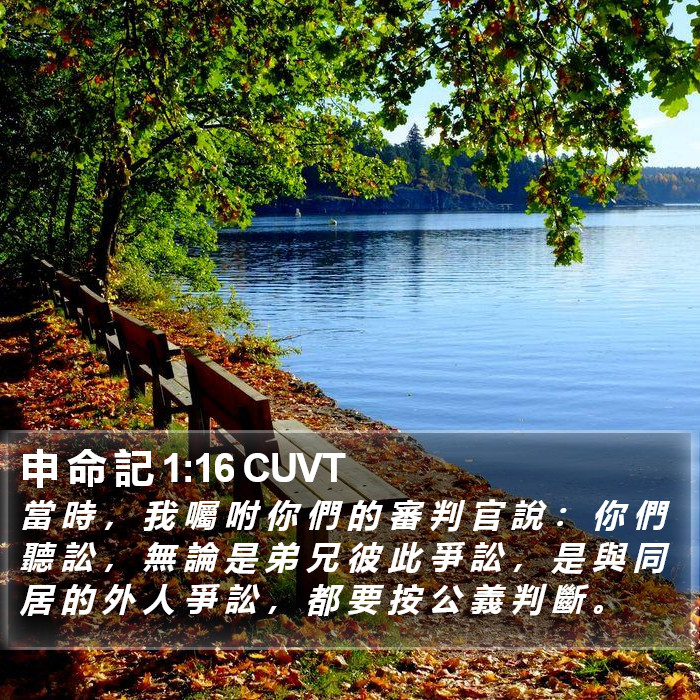 申 命 記 1:16 CUVT Bible Study