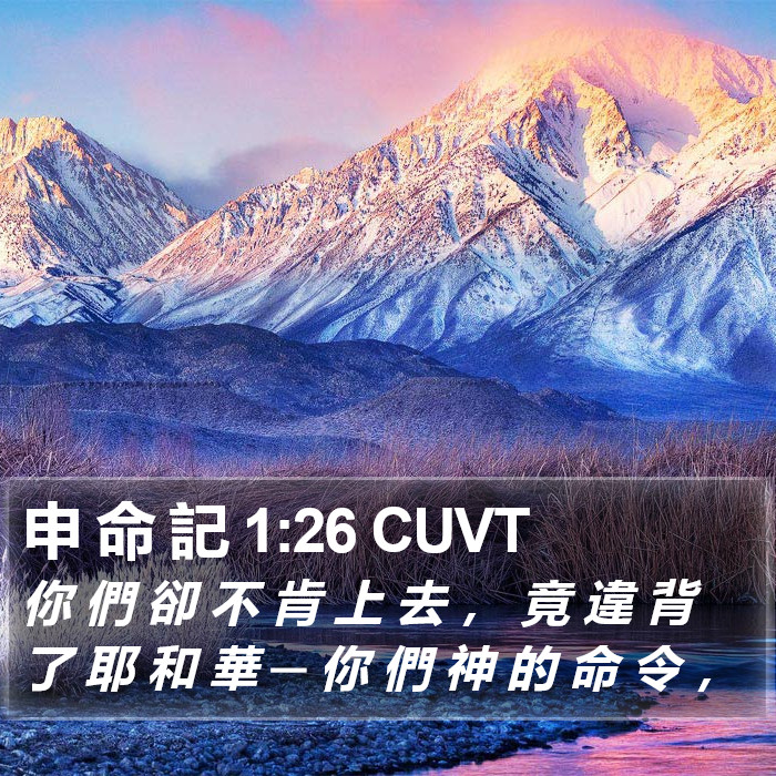 申 命 記 1:26 CUVT Bible Study