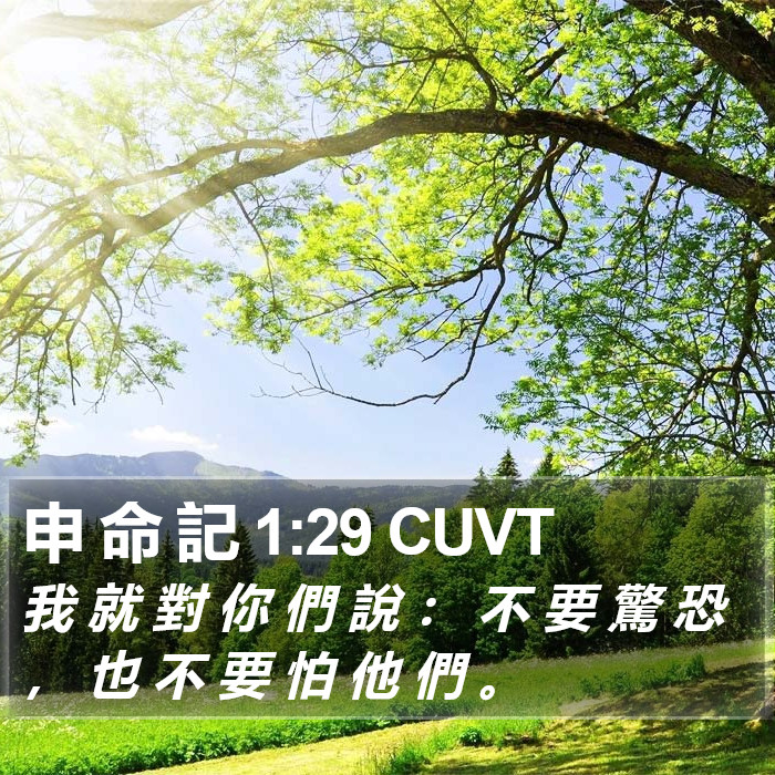 申 命 記 1:29 CUVT Bible Study