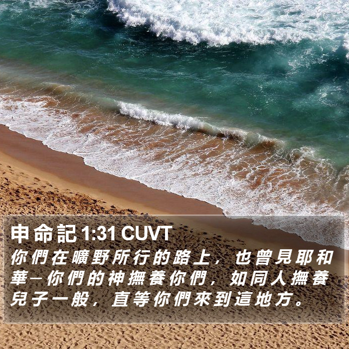 申 命 記 1:31 CUVT Bible Study