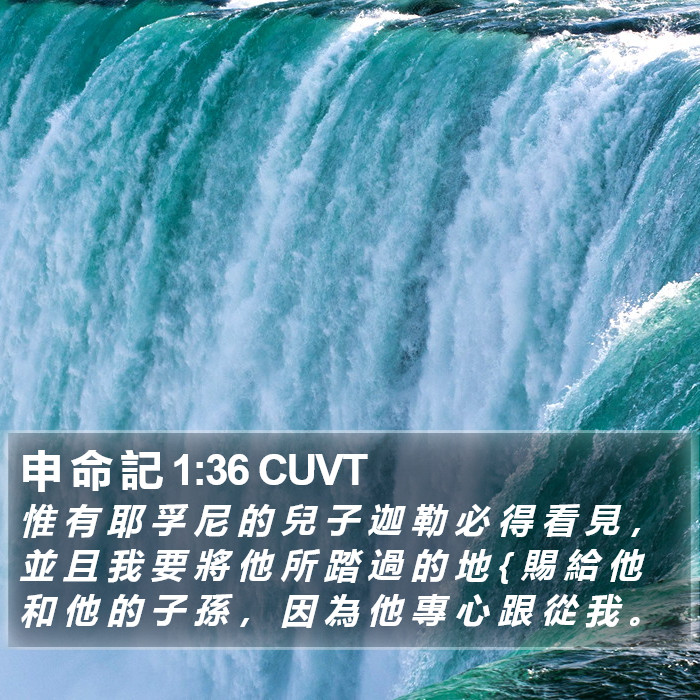 申 命 記 1:36 CUVT Bible Study