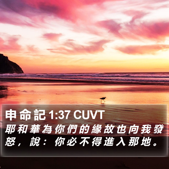 申 命 記 1:37 CUVT Bible Study