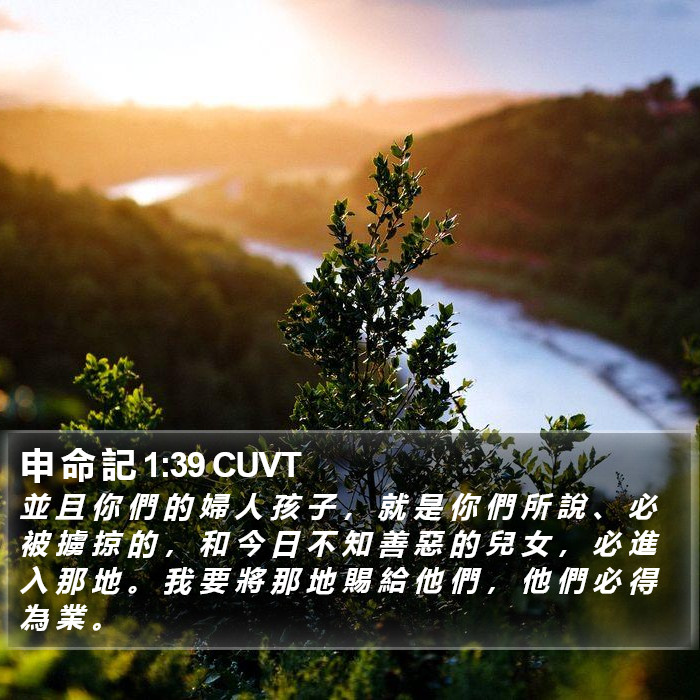 申 命 記 1:39 CUVT Bible Study