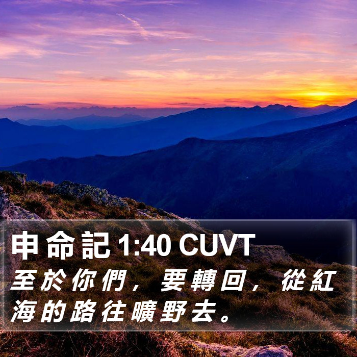 申 命 記 1:40 CUVT Bible Study