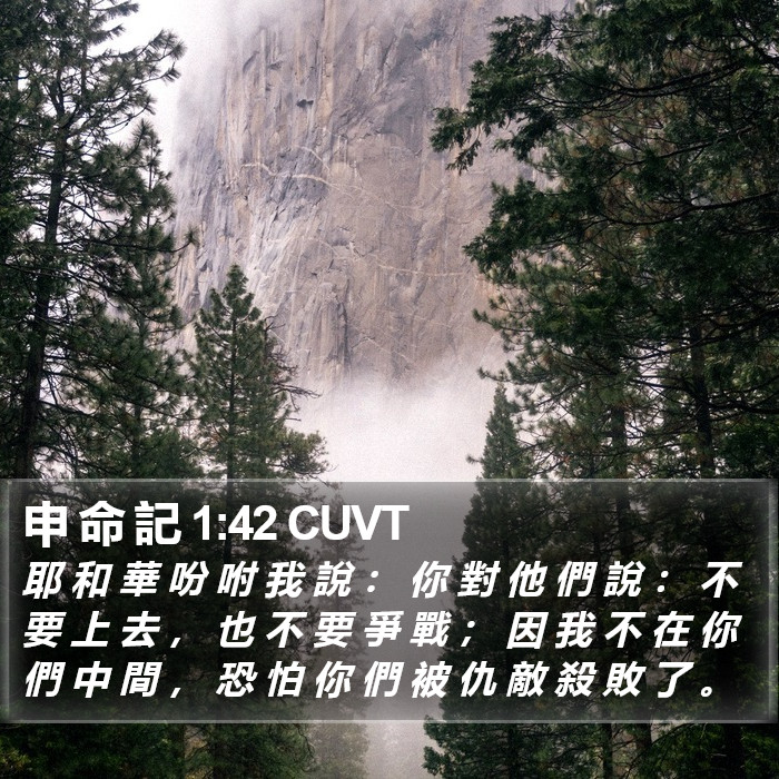 申 命 記 1:42 CUVT Bible Study