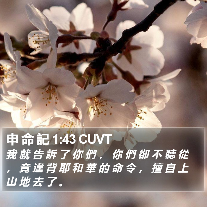 申 命 記 1:43 CUVT Bible Study