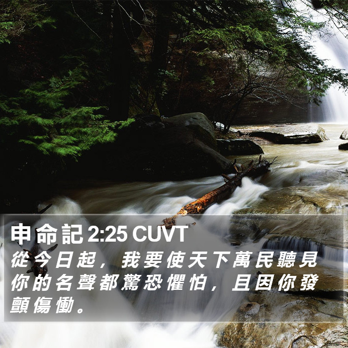 申 命 記 2:25 CUVT Bible Study