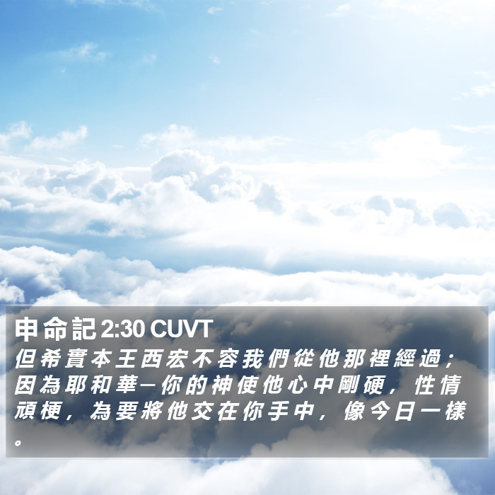申 命 記 2:30 CUVT Bible Study