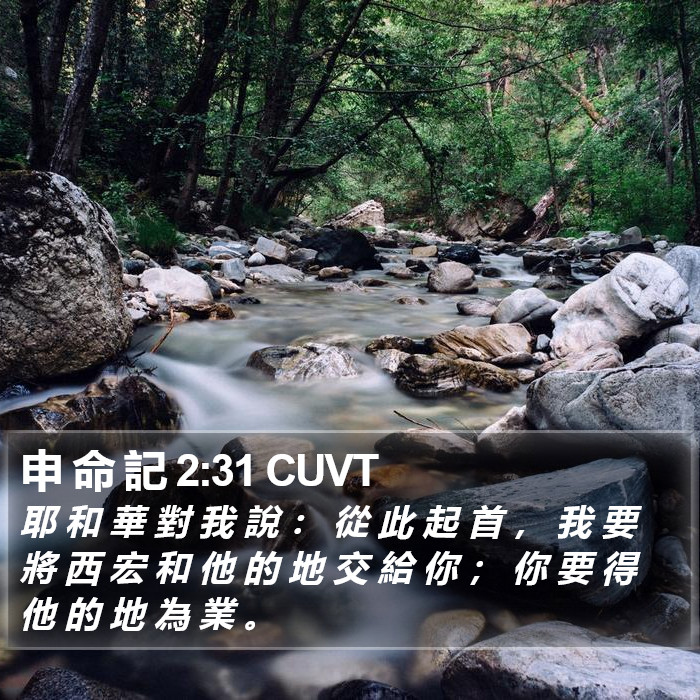 申 命 記 2:31 CUVT Bible Study