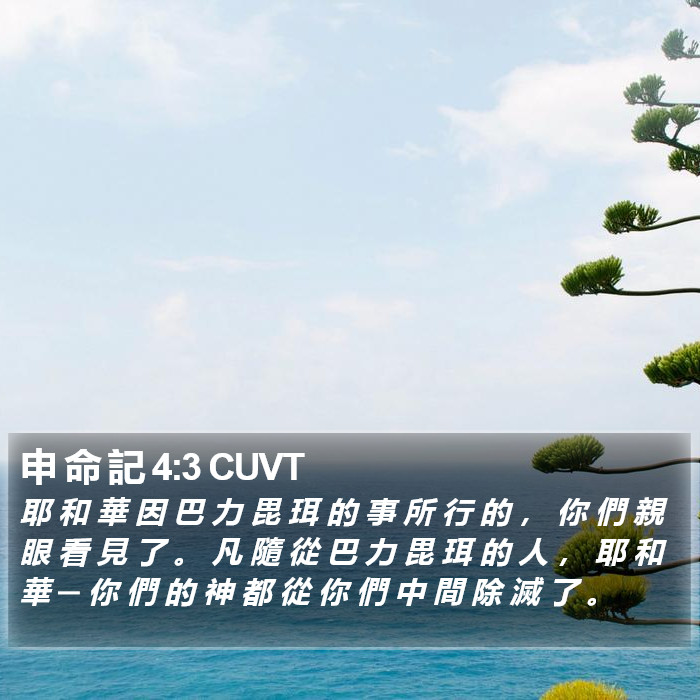 申 命 記 4:3 CUVT Bible Study