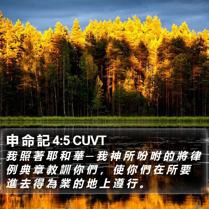 申 命 記 4:5 CUVT Bible Study