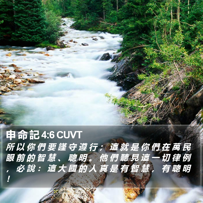 申 命 記 4:6 CUVT Bible Study