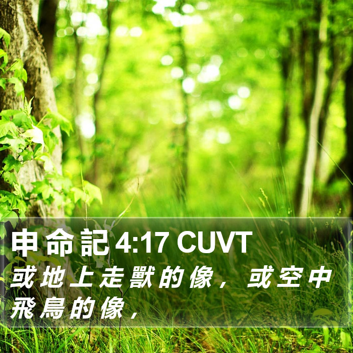 申 命 記 4:17 CUVT Bible Study