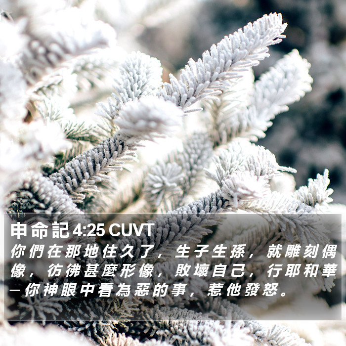 申 命 記 4:25 CUVT Bible Study