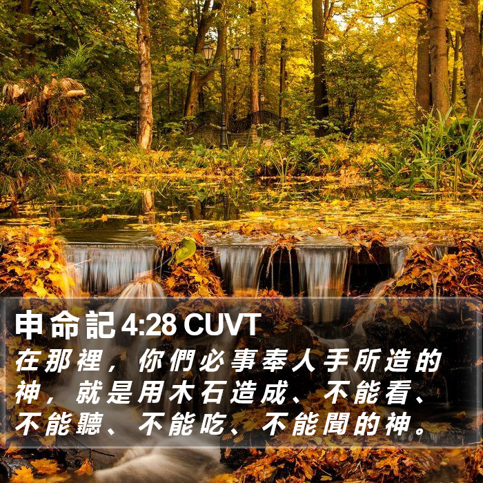 申 命 記 4:28 CUVT Bible Study