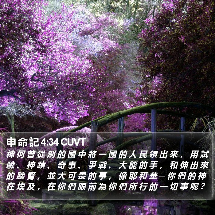 申 命 記 4:34 CUVT Bible Study