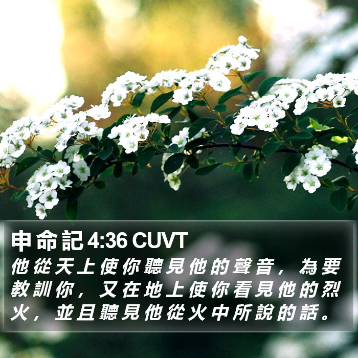 申 命 記 4:36 CUVT Bible Study