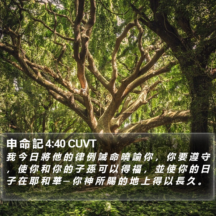 申 命 記 4:40 CUVT Bible Study