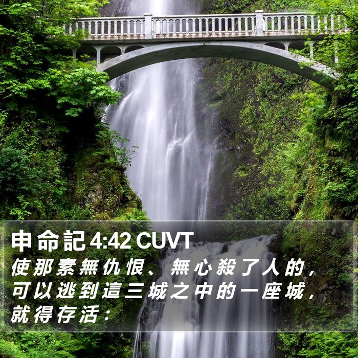 申 命 記 4:42 CUVT Bible Study