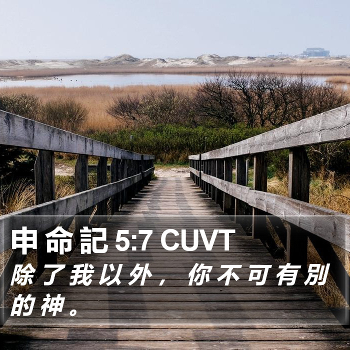 申 命 記 5:7 CUVT Bible Study