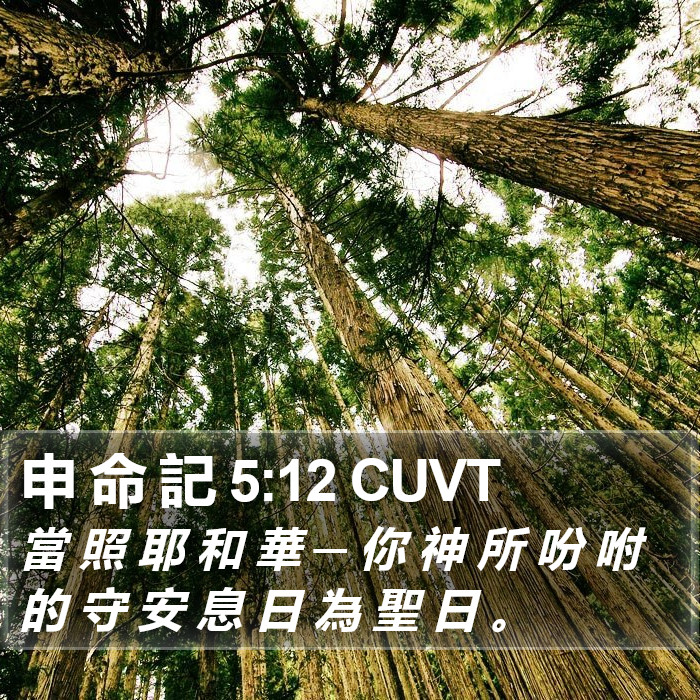 申 命 記 5:12 CUVT Bible Study