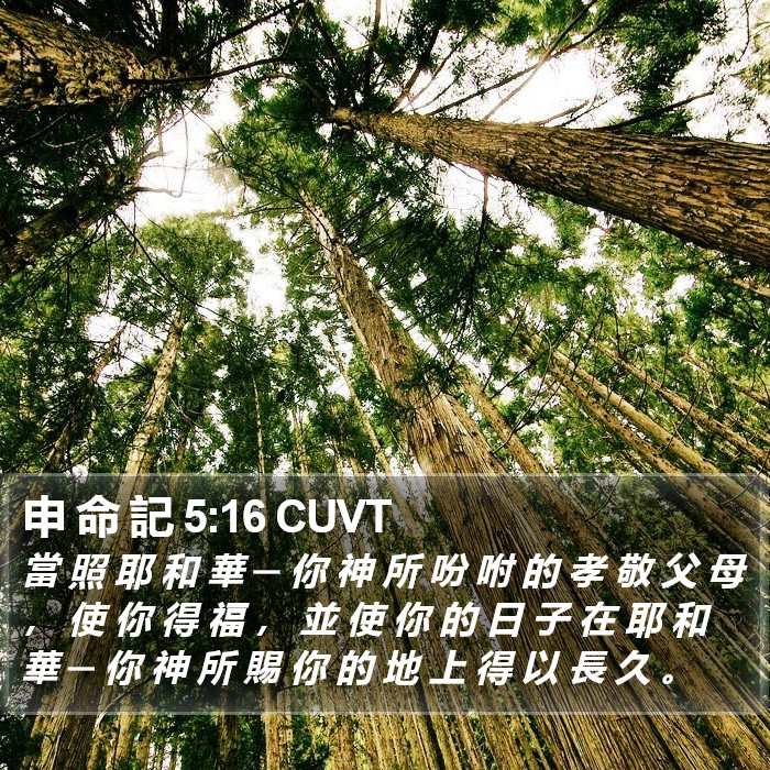 申 命 記 5:16 CUVT Bible Study
