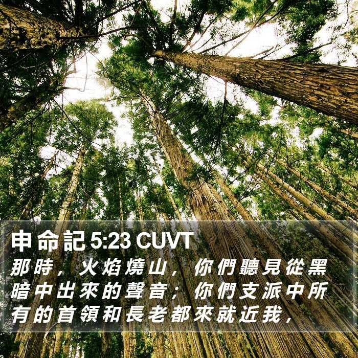 申 命 記 5:23 CUVT Bible Study