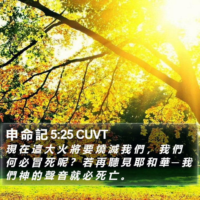 申 命 記 5:25 CUVT Bible Study