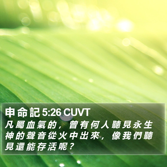 申 命 記 5:26 CUVT Bible Study