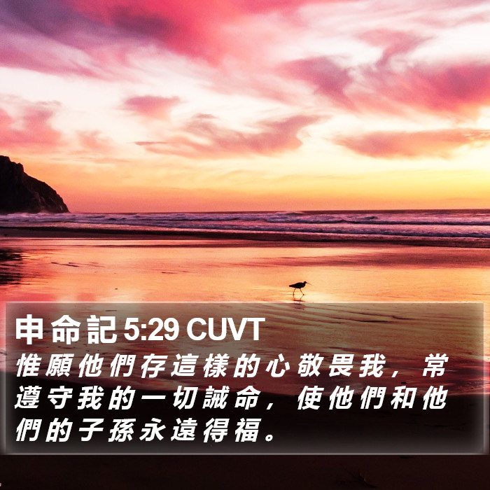 申 命 記 5:29 CUVT Bible Study