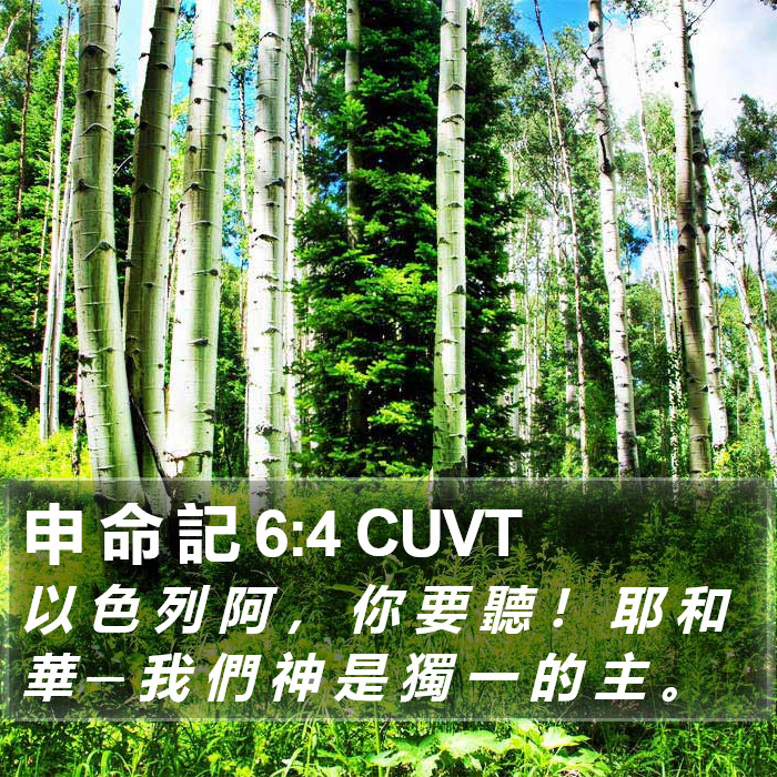 申 命 記 6:4 CUVT Bible Study