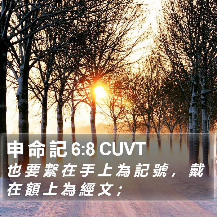 申 命 記 6:8 CUVT Bible Study