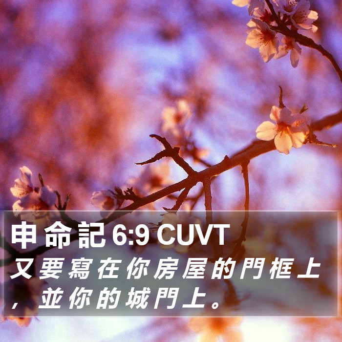 申 命 記 6:9 CUVT Bible Study