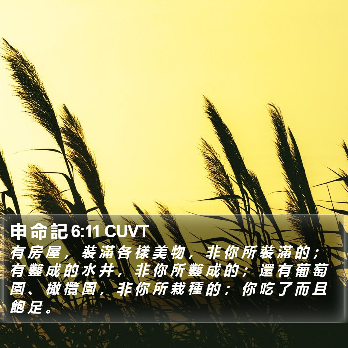 申 命 記 6:11 CUVT Bible Study